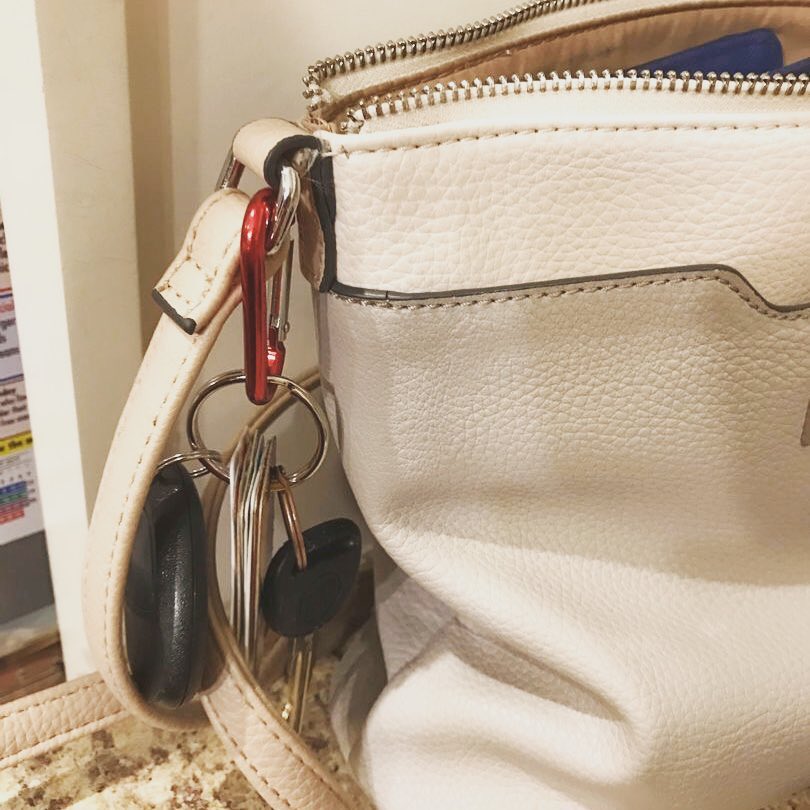 Carabiner on Purse