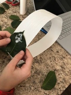 How To Make A Laurel Wreath