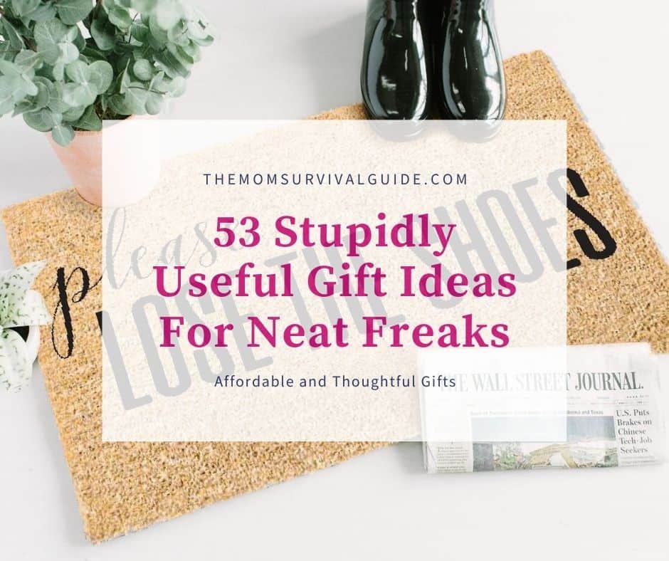 gift ideas for neat freaks feature image