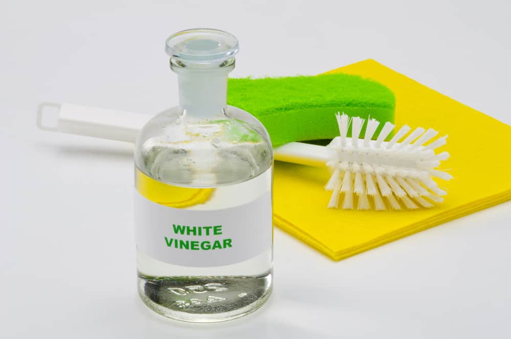 how to get rid of smell in garbage disposal white vinegar scrub brush green sponge