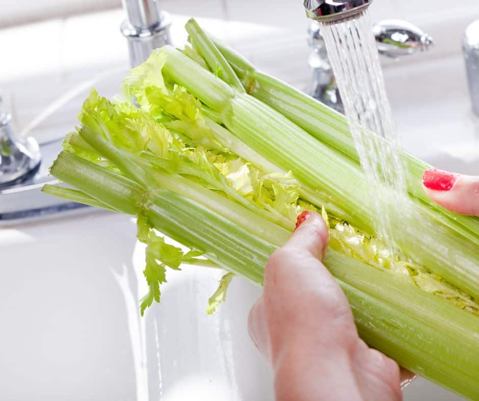 green celery being cleaned under running water for how to clean celery post